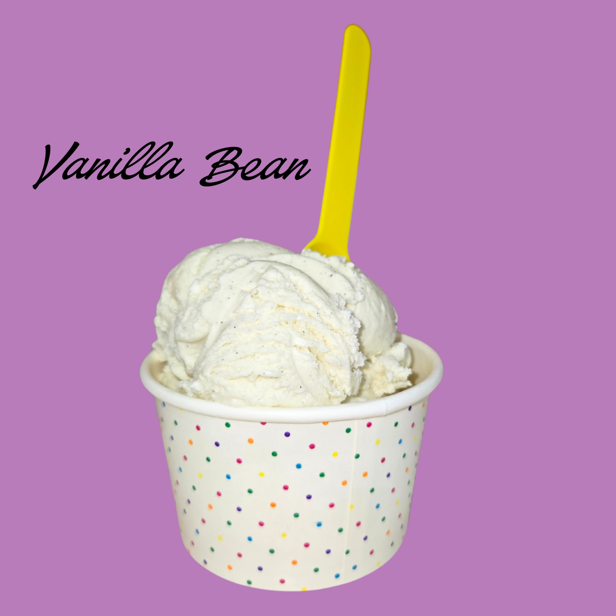 Vanilla Bean